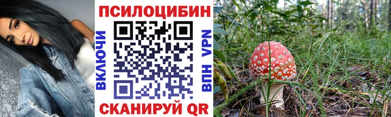 мега ссылки  Щёлково  Псилоцибиновые грибы Magic Shrooms 